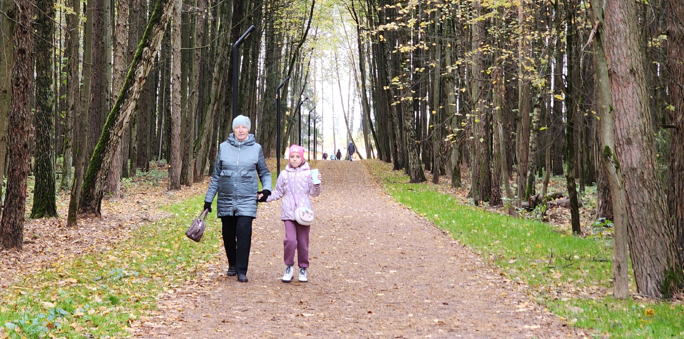 Звенигород, Супоневский лес, Благоустройство,