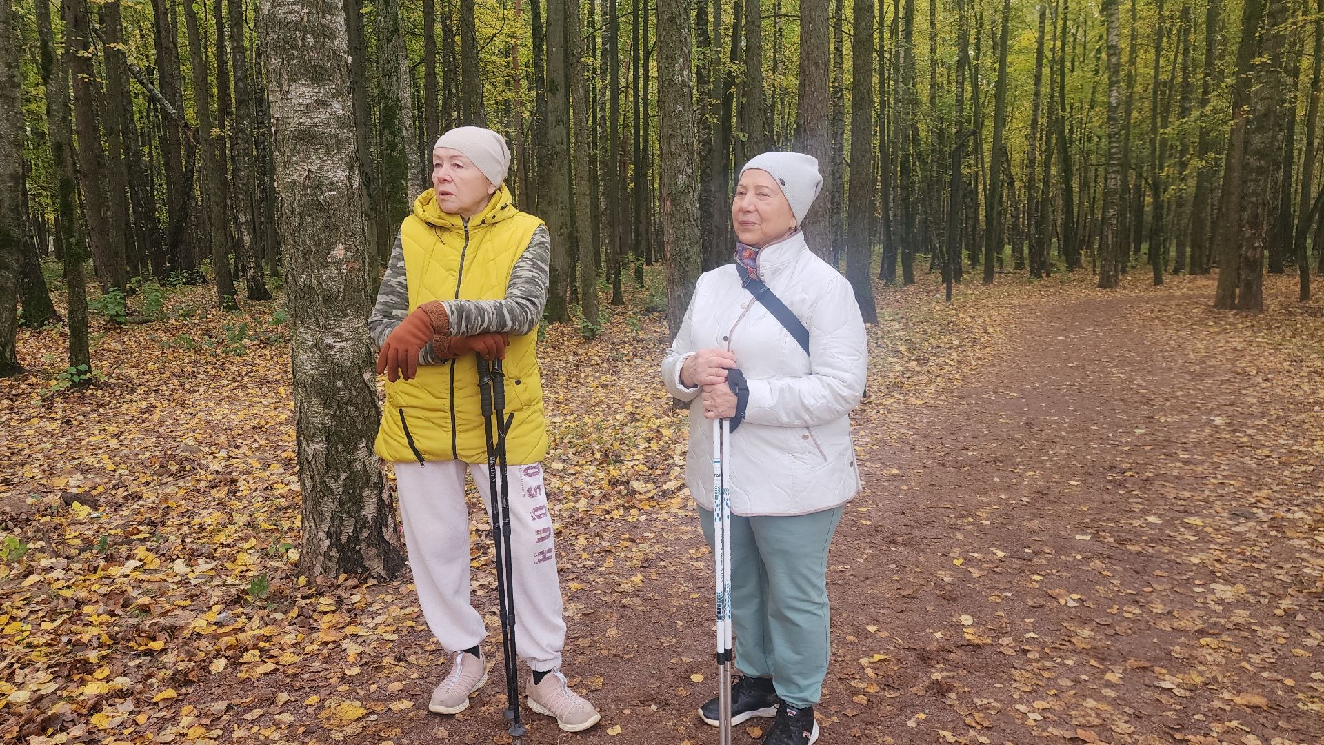Звенигород, Супоневский лес, Благоустройство,