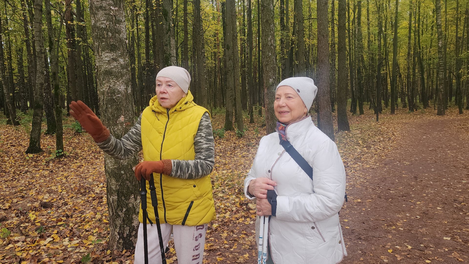 Звенигород, Супоневский лес, Благоустройство,