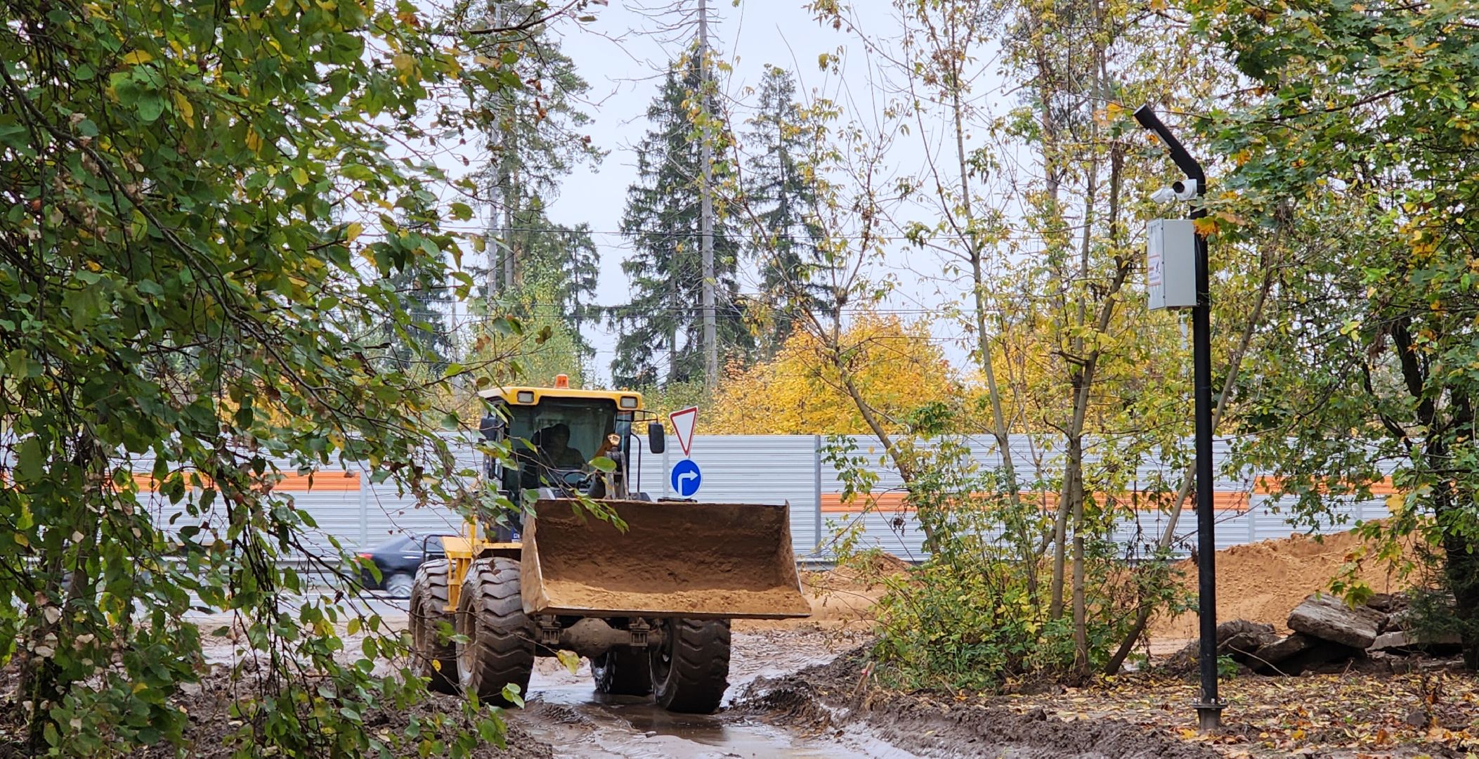 Звенигород, Супоневский лес, Благоустройство,