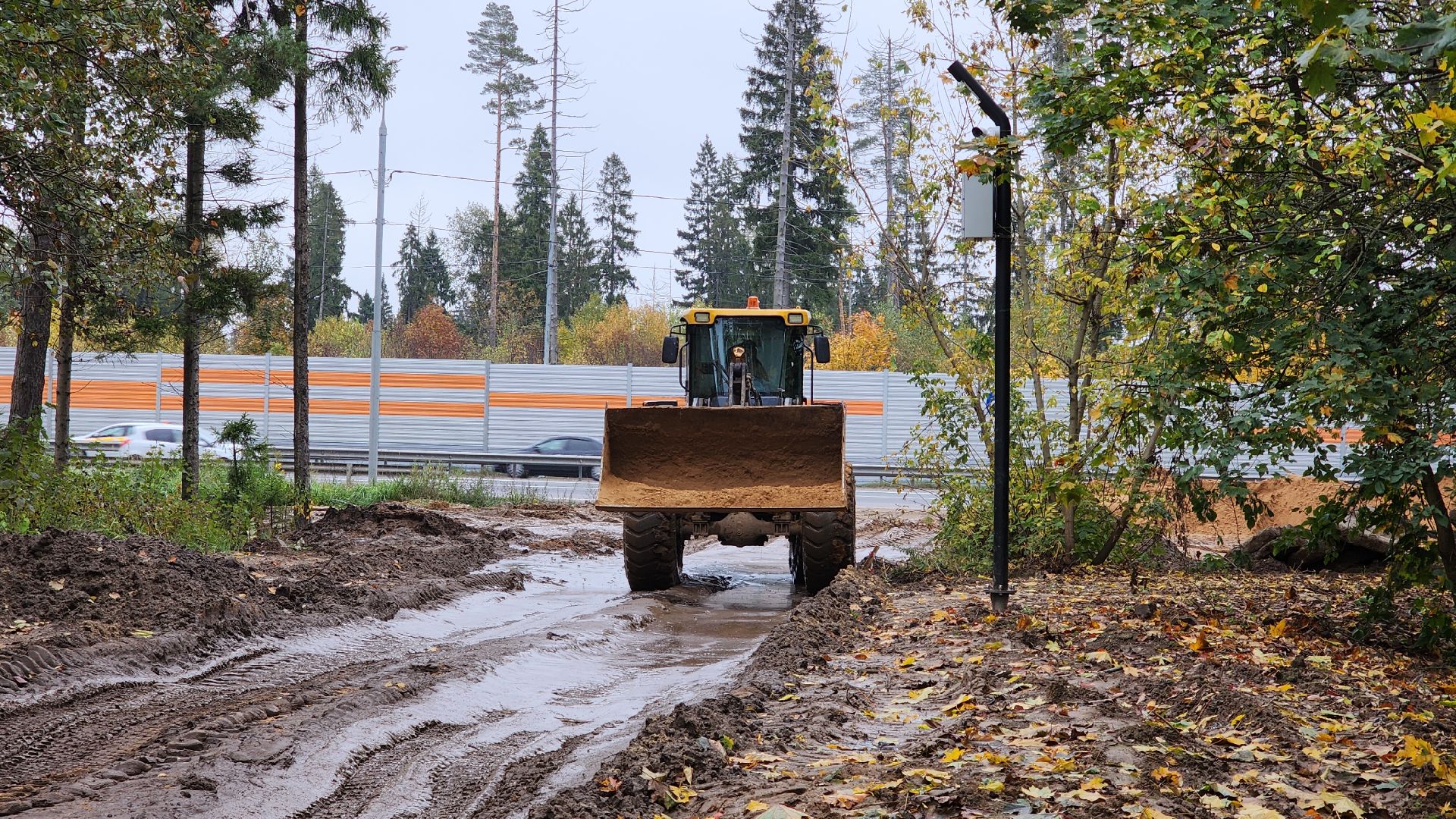 Звенигород, Супоневский лес, Благоустройство,
