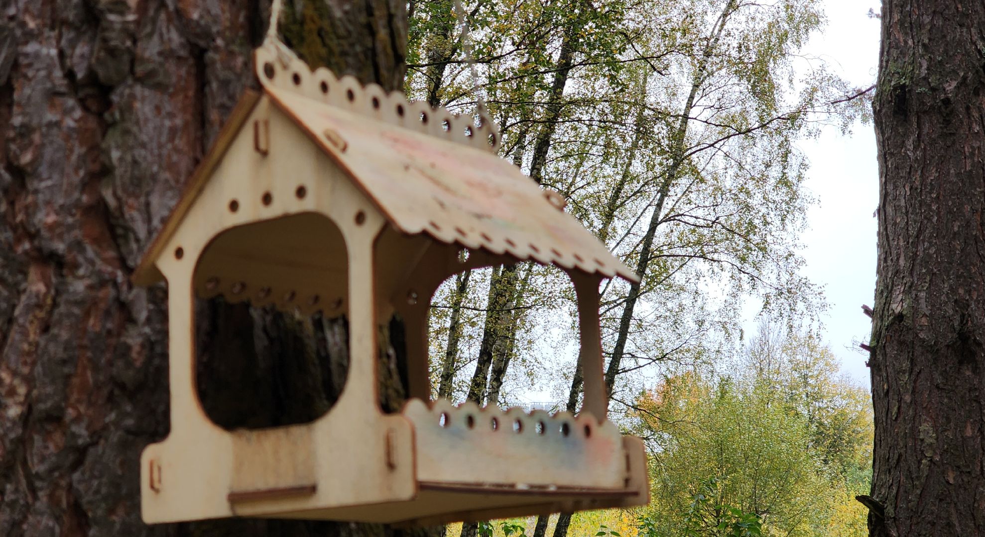 Звенигород, Супоневский лес, Благоустройство,