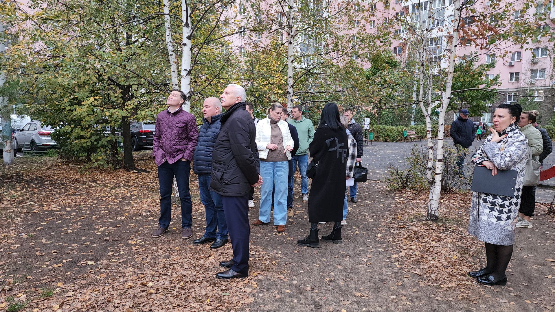 котельники, благоустройство, ремонт, озеленение,