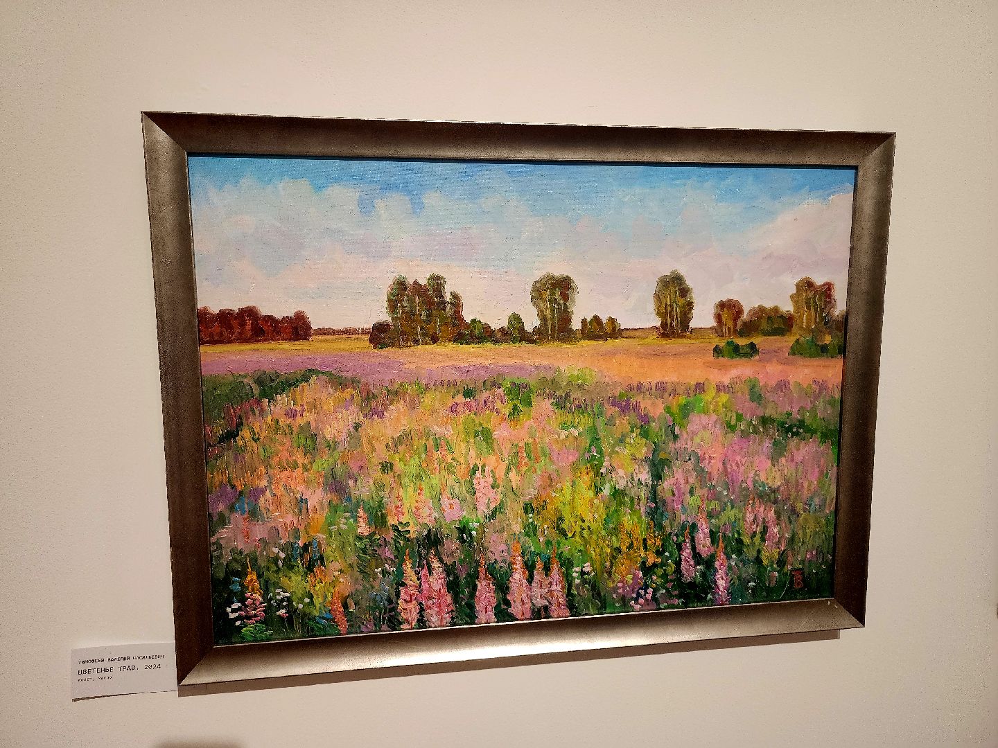 серпухов, подмосковье, культура, СИХм, серпуховский музей,