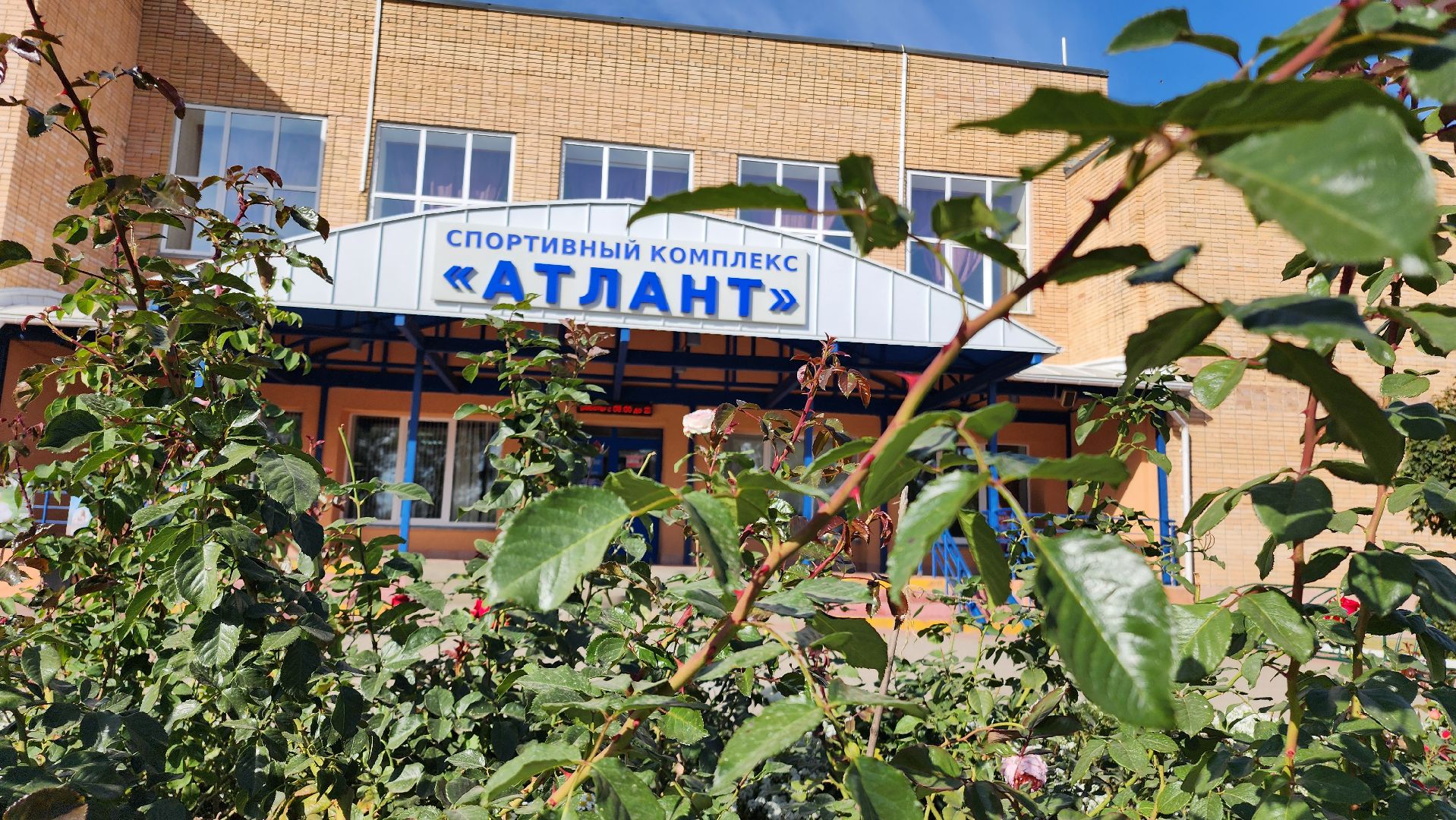 Домодедово, Подмосковье, Плавание, Добрые часы, программа губернатора, Инвалиды,