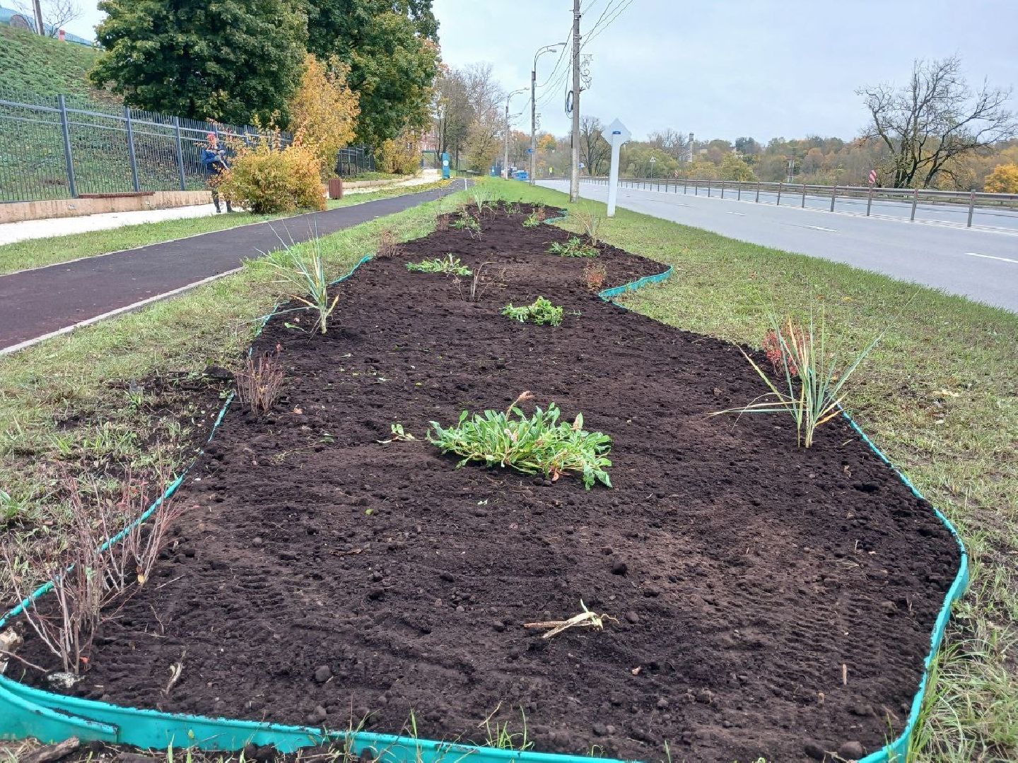 Клумбы, Почва, Цветы,