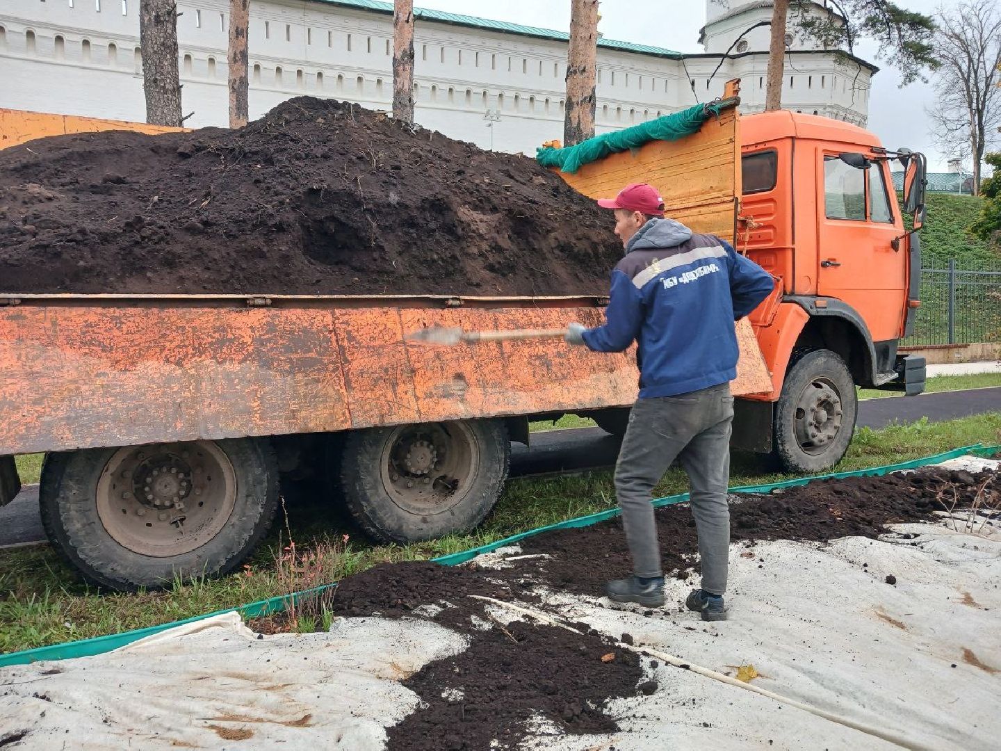 Клумбы, Почва, Цветы,