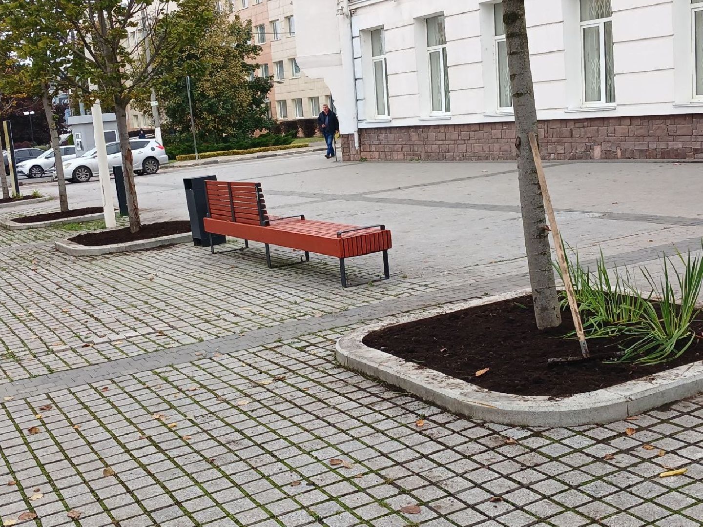 Клумбы, Почва, Цветы,