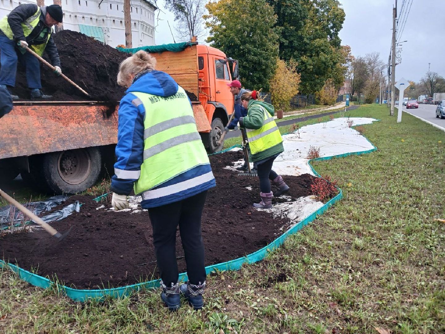 Клумбы, Почва, Цветы,