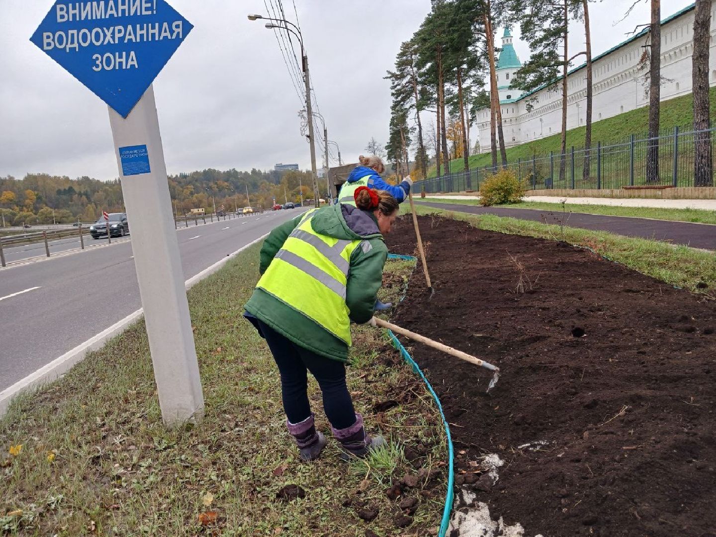 Клумбы, Почва, Цветы,