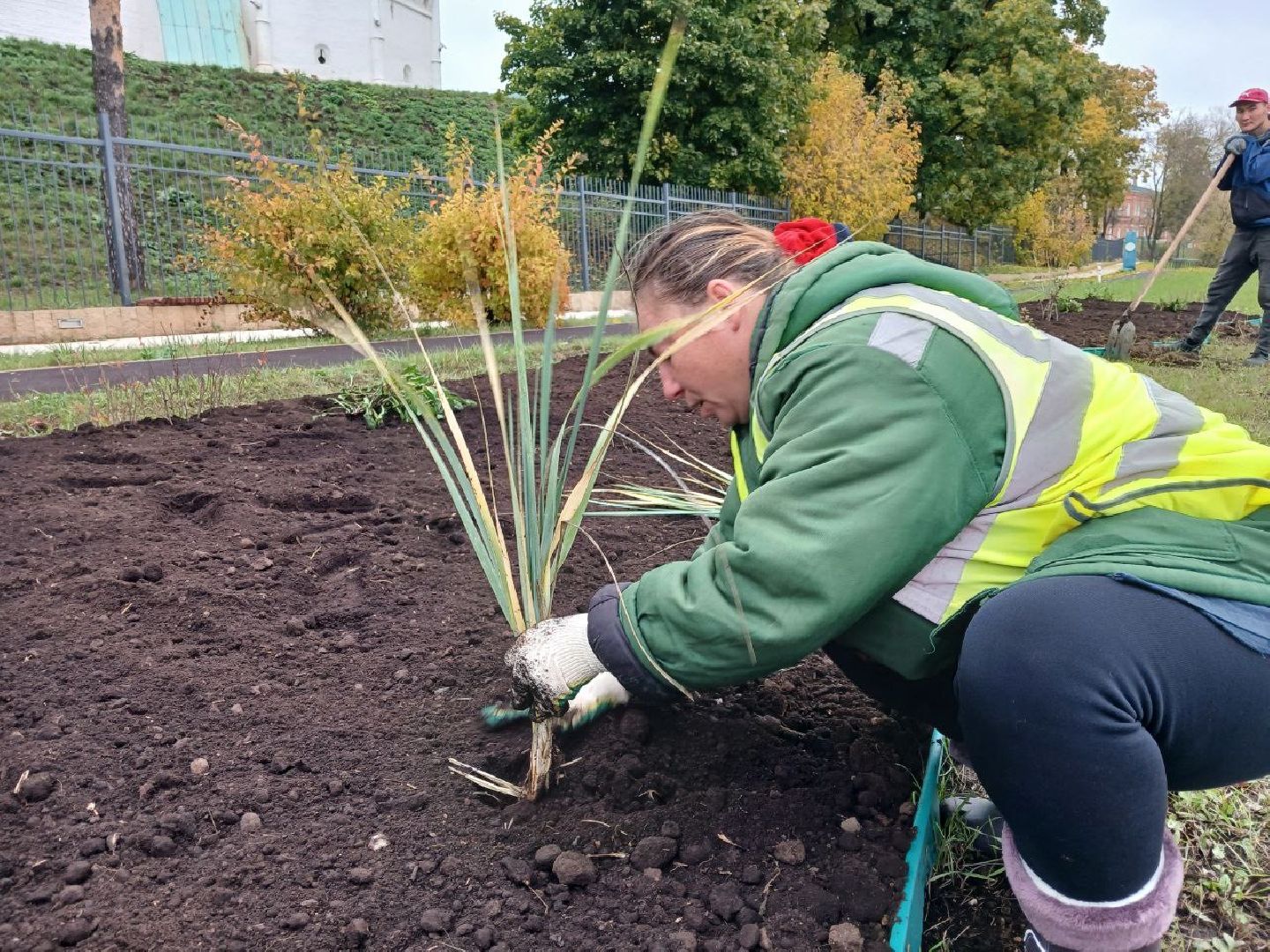 Клумбы, Почва, Цветы,