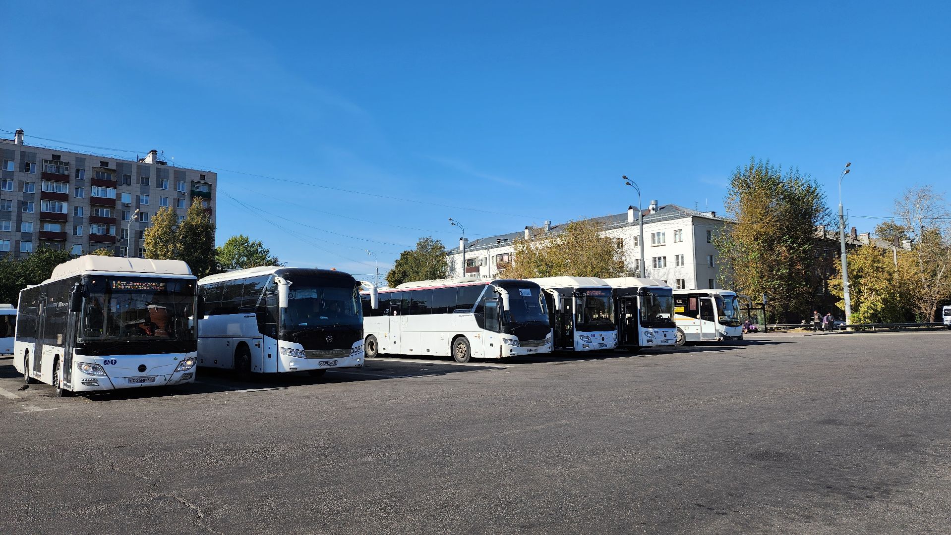 транспорт, маршрутный автобус, общественный транспорт,