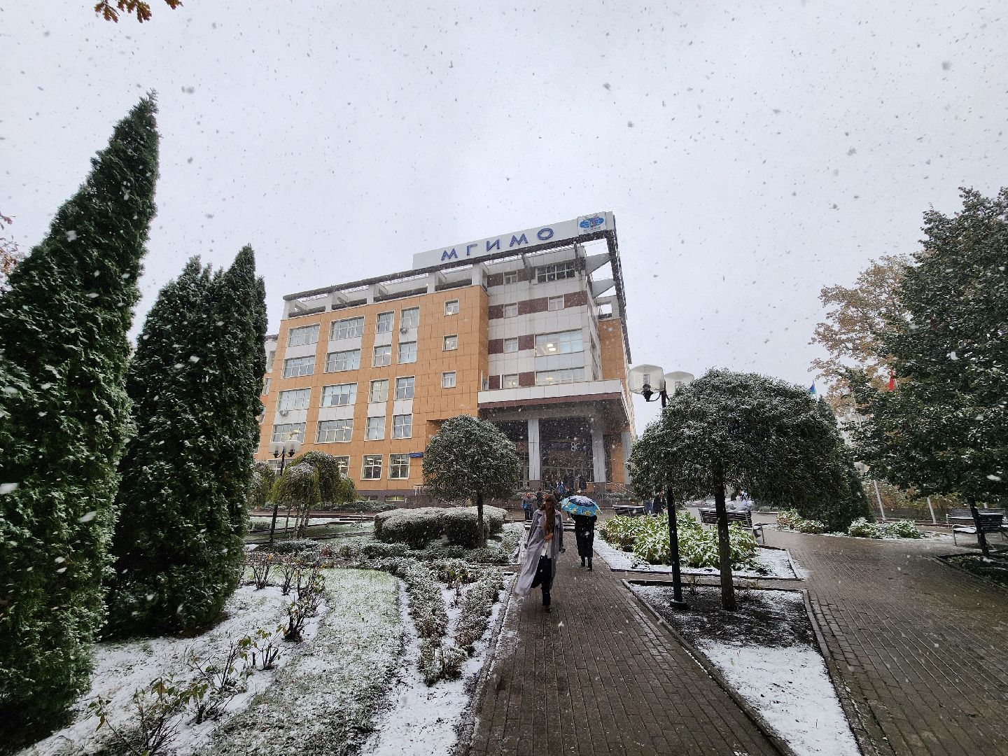 одинцово, мгимо, образование, институт,