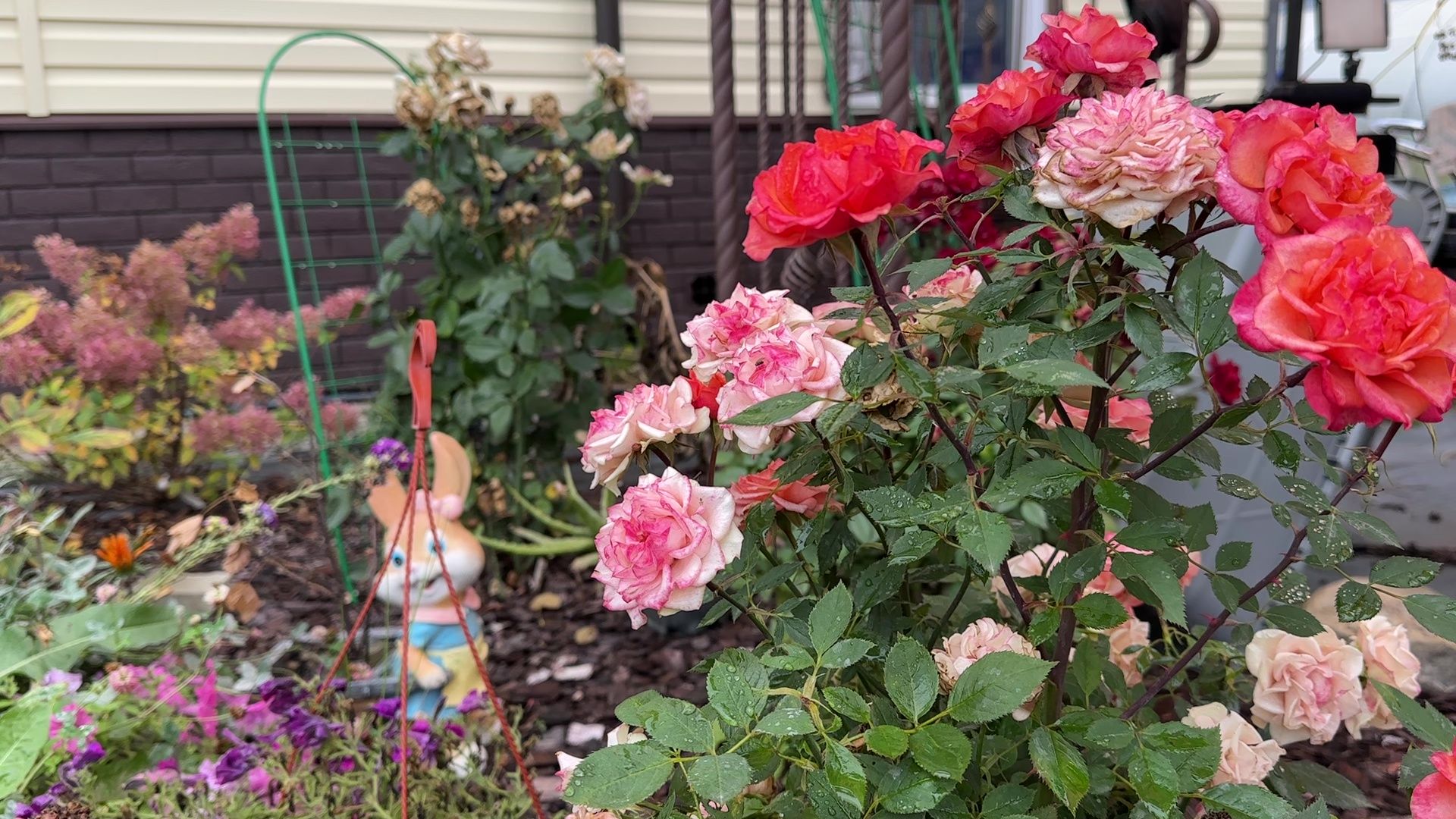 Реутов, медицина, здравоохранение, врачи, династия, семья,