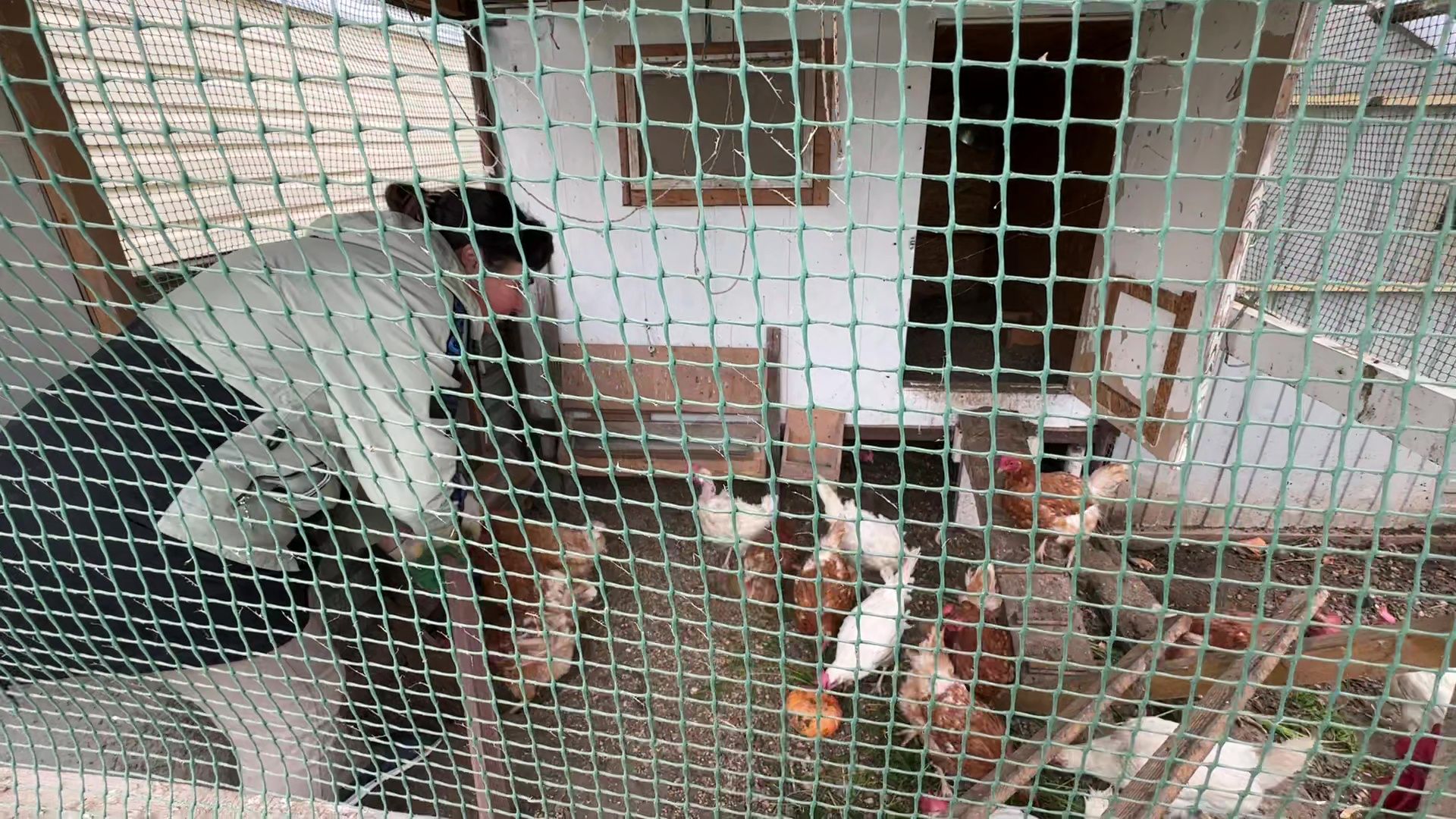 Реутов, медицина, здравоохранение, врачи, династия, семья,