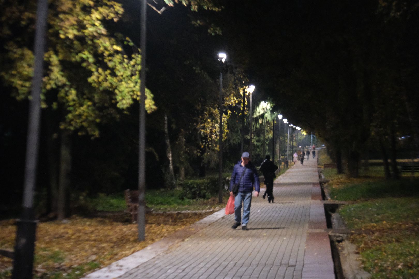 пущино, серпухов, светлый город,