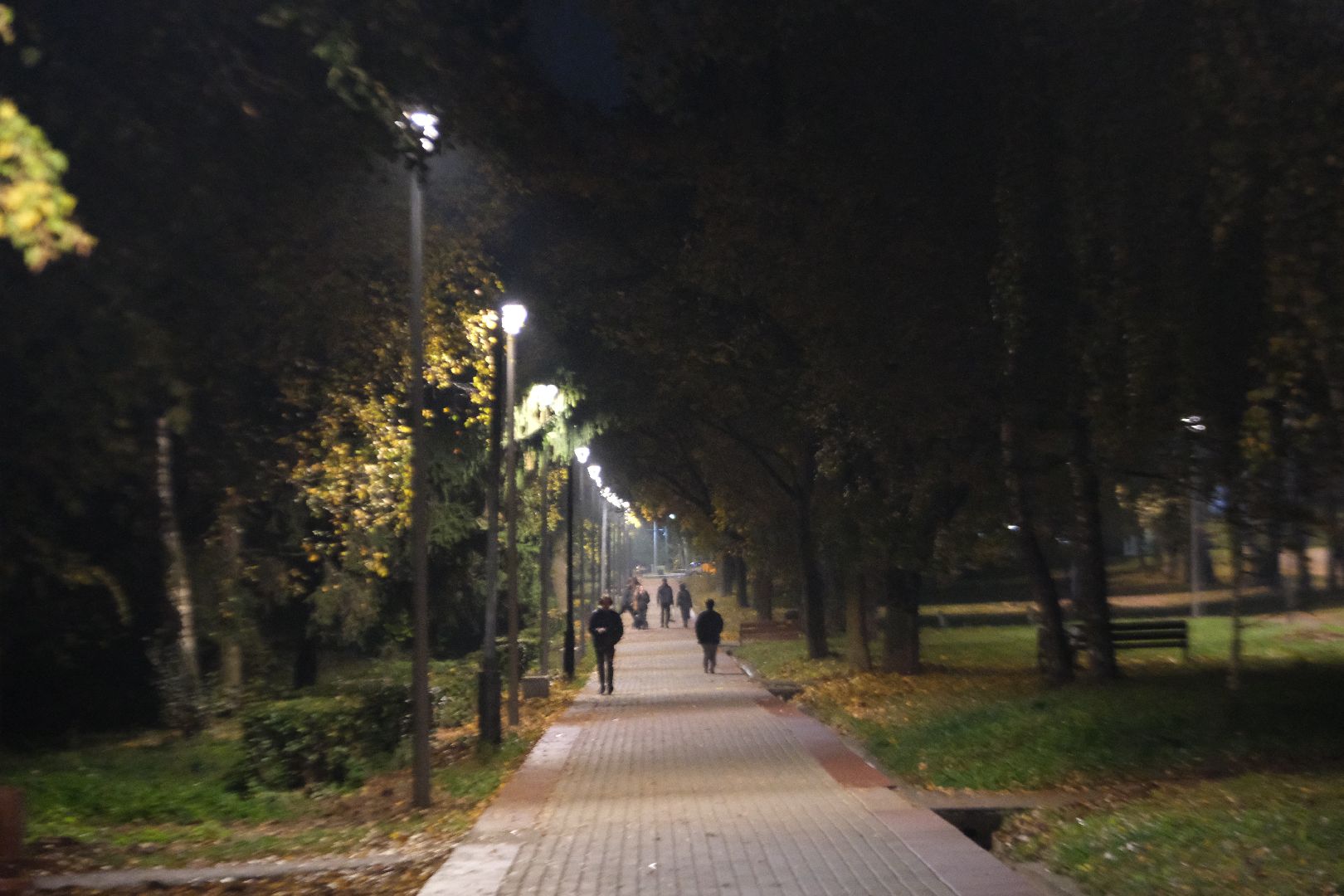 пущино, серпухов, светлый город,