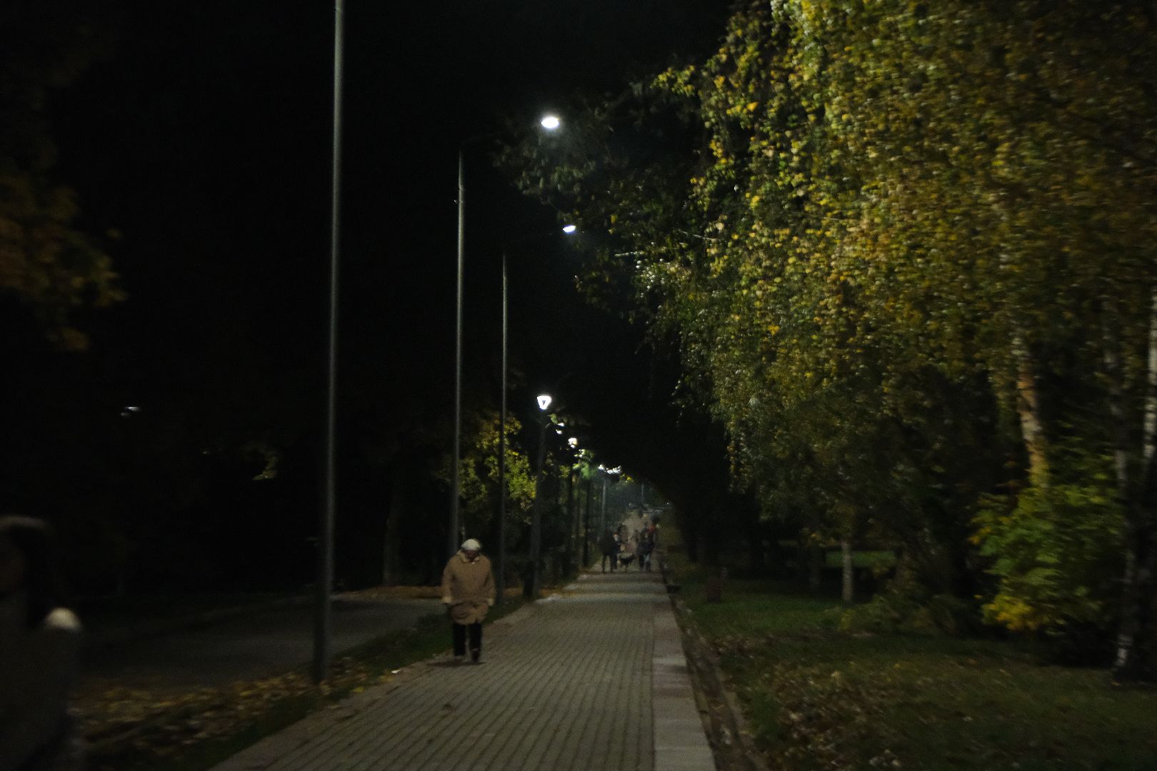 пущино, серпухов, светлый город,