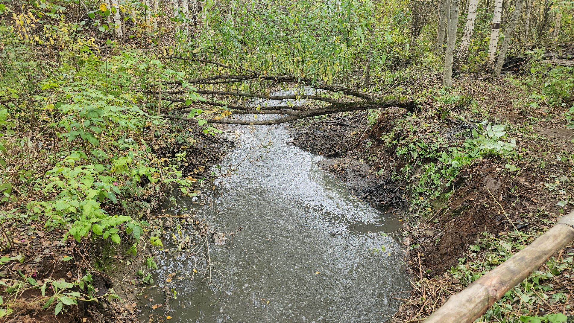 долгопрудный, Грибки, село Виноградово, Река, экосубботник, отходы,