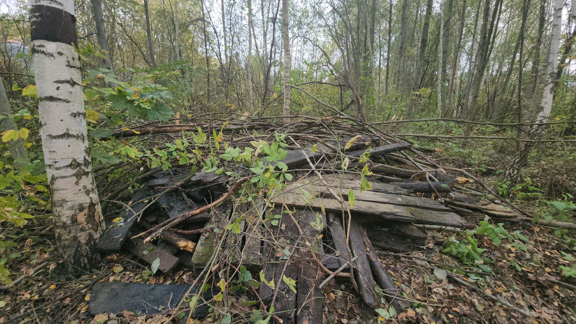 долгопрудный, Грибки, село Виноградово, Река, экосубботник, отходы,