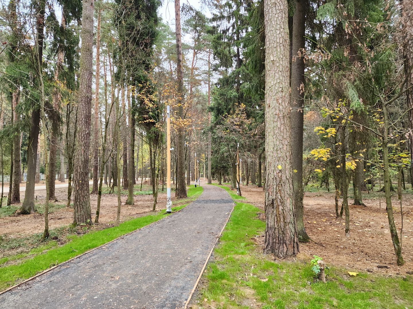 пушкино,
