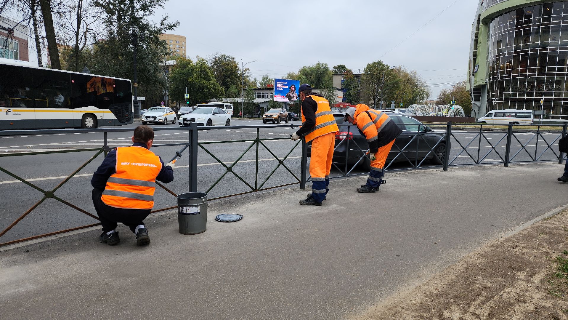 пушкино, дороги, ограждение, жители, дорога, тротуар,