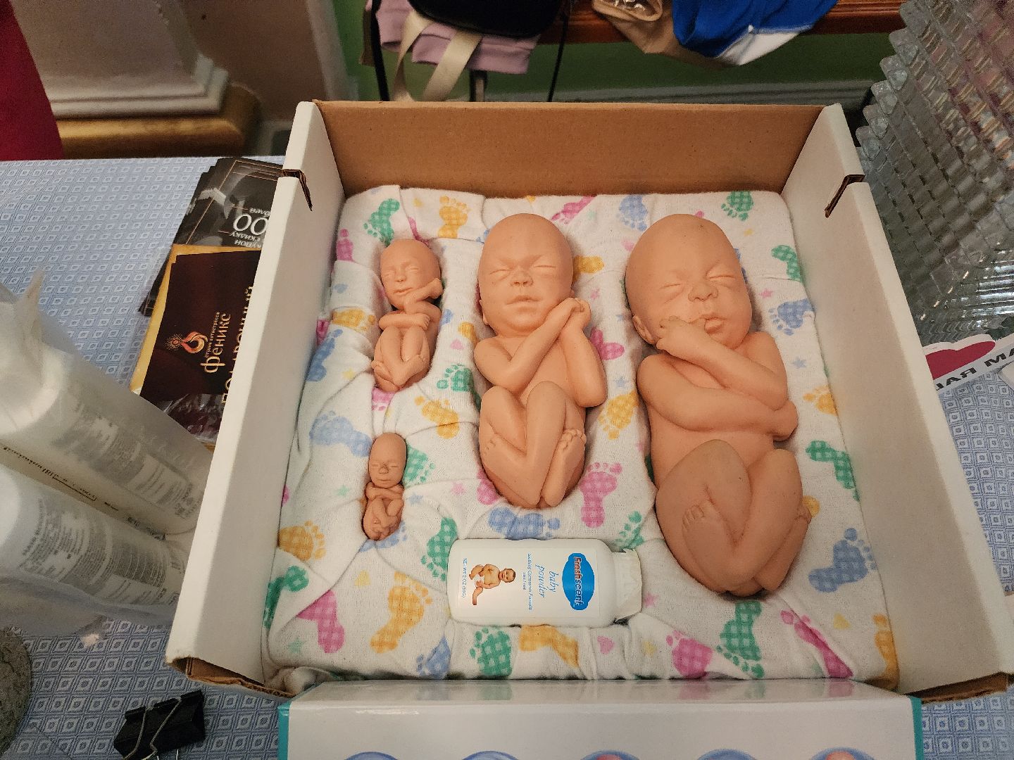 беременность, беременные женщины, фестиваль,