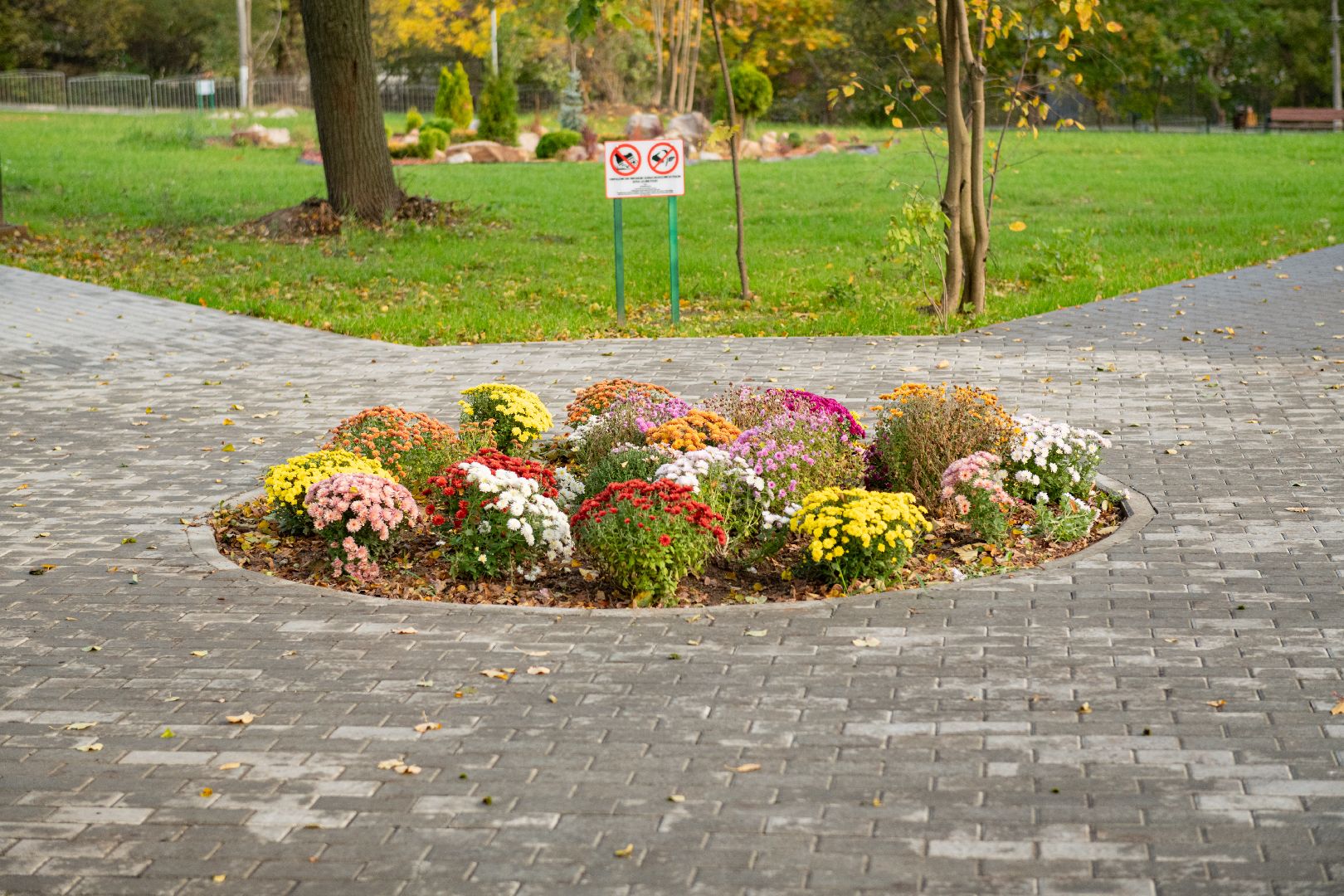лыткарино, лыткарино 6 микрорайон, сквер 6 микрорайона, благоустройство сквера,
