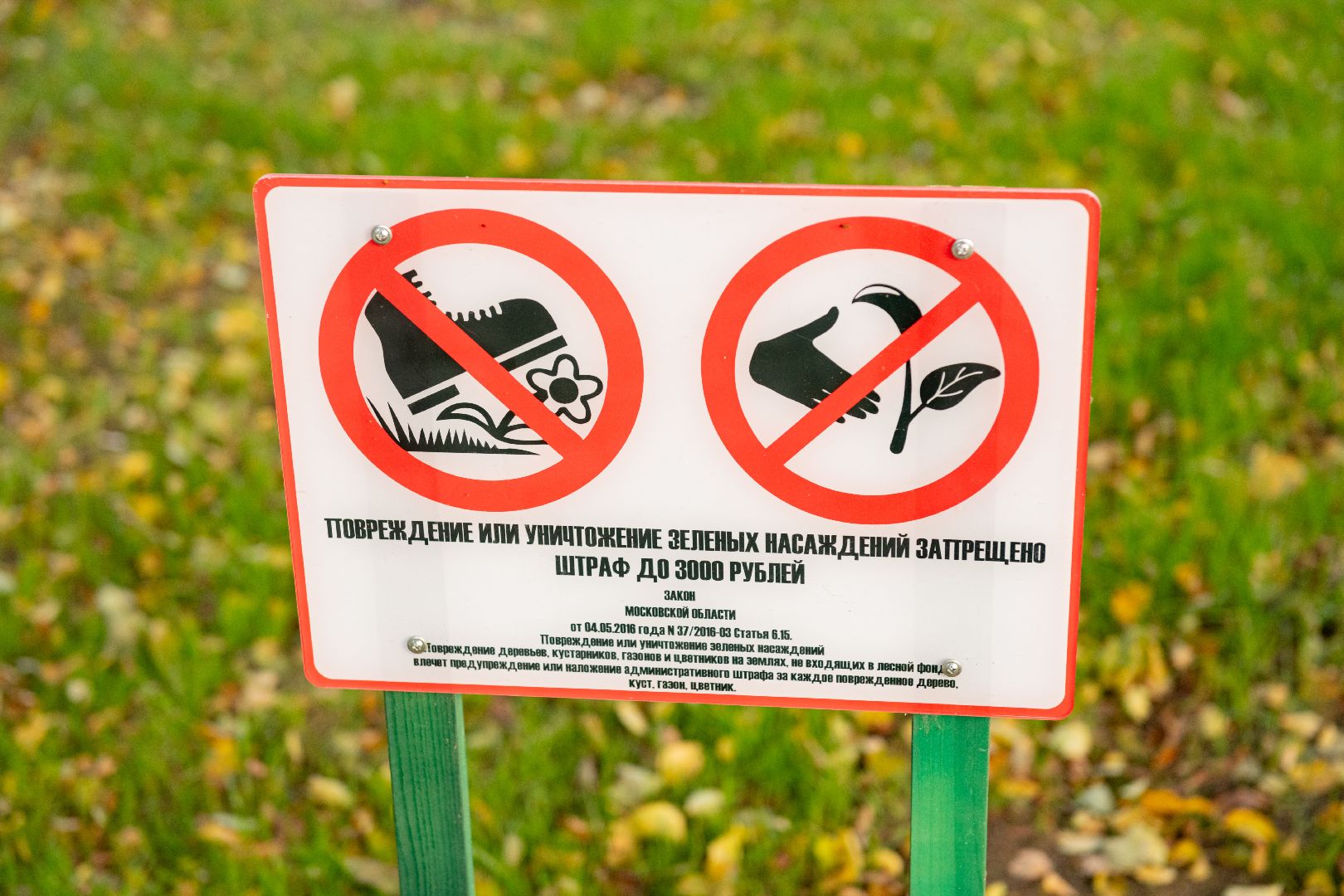 лыткарино, лыткарино 6 микрорайон, сквер 6 микрорайона, благоустройство сквера,