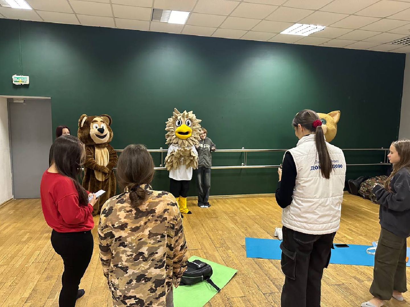 мастер-класс, волонтеры, ростовые куклы,