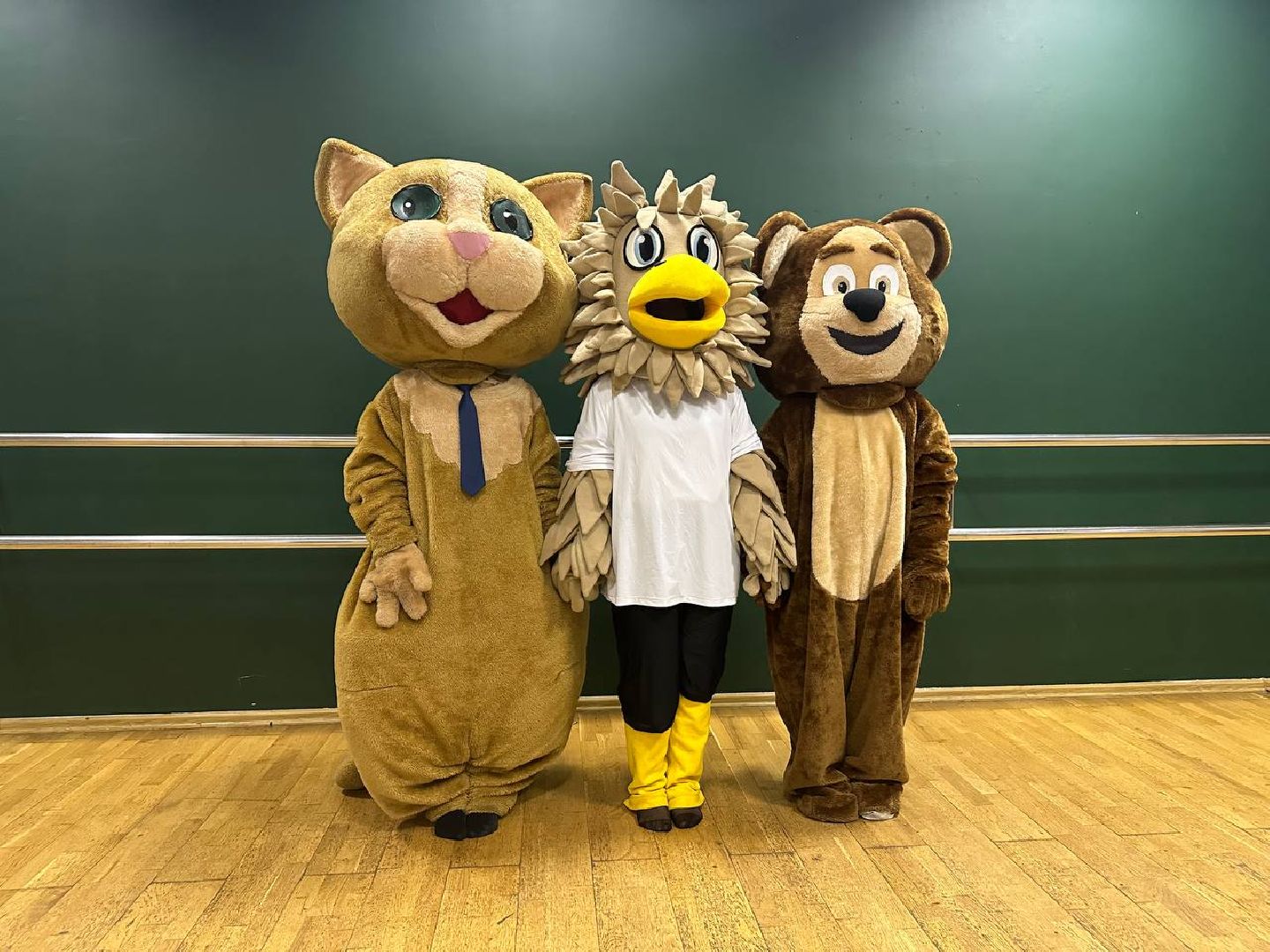 мастер-класс, волонтеры, ростовые куклы,