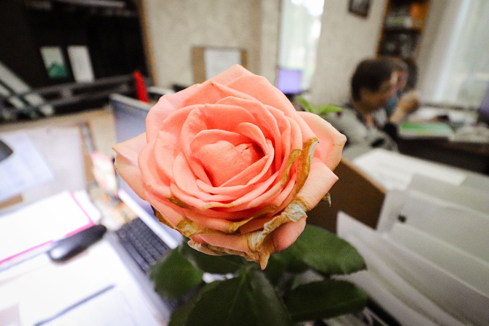 Клин, общество, образование, Подмосковье, Почетный работник образования РФ