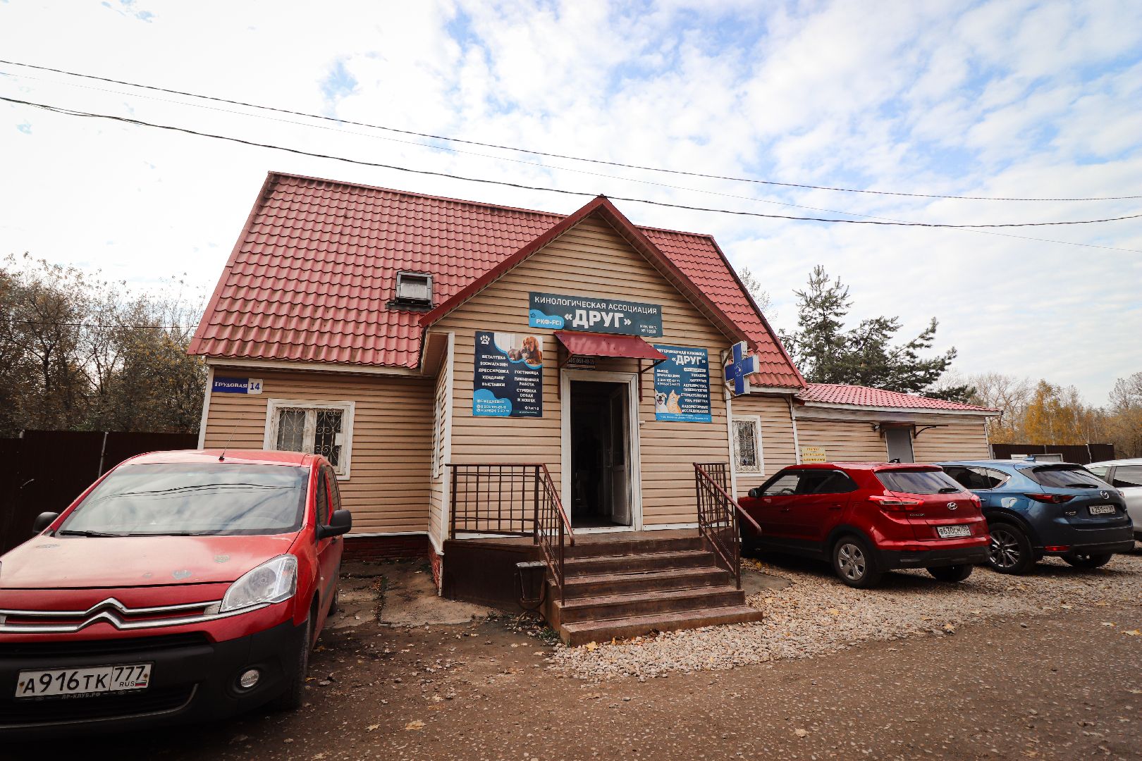 Клин, общество, спорт, собаки, аджилити,