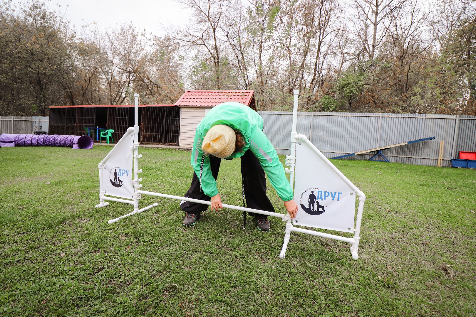 Клин, общество, спорт, собаки, аджилити,