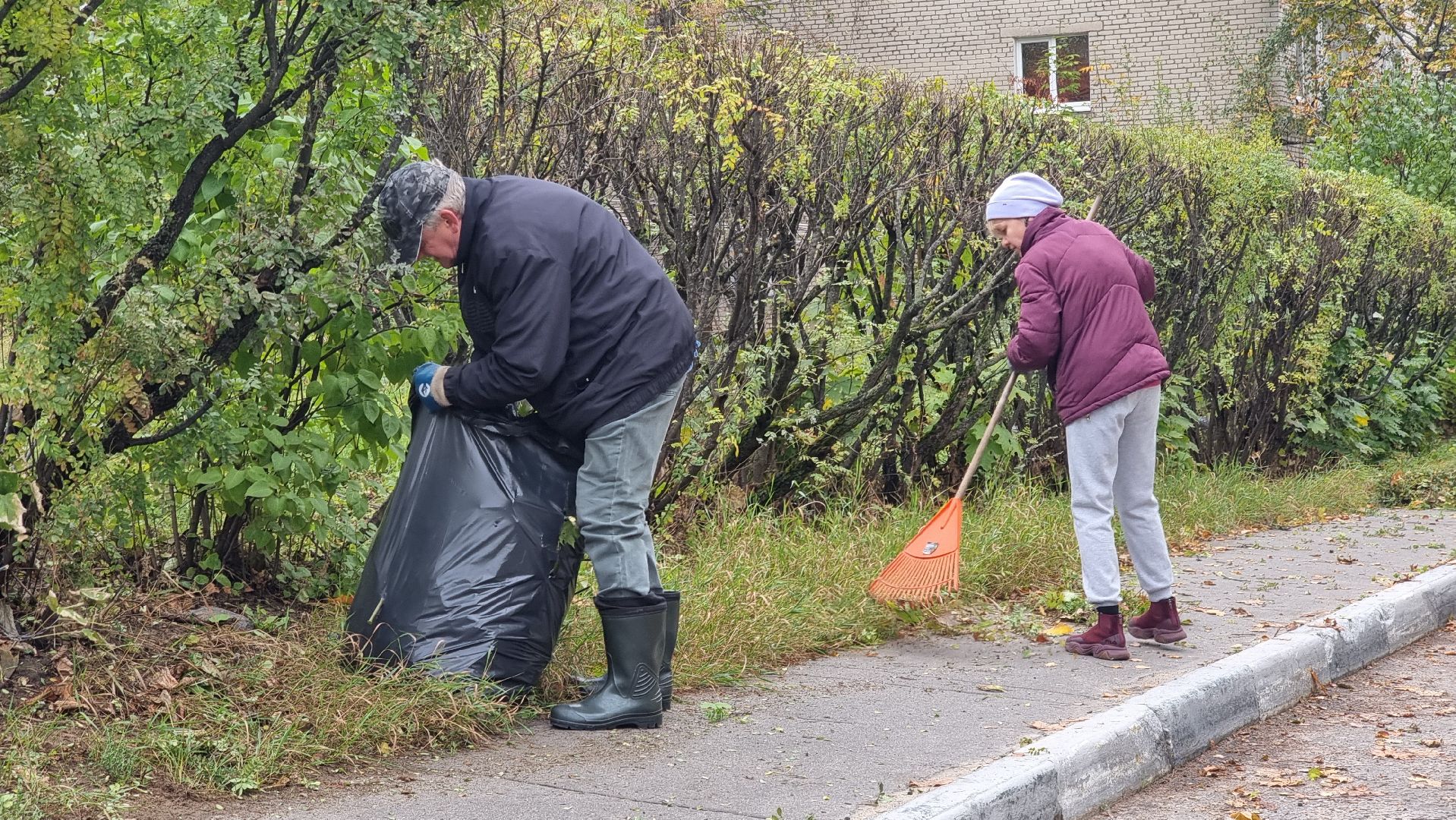 благоустойство, подготовка к зиме, городские цветники