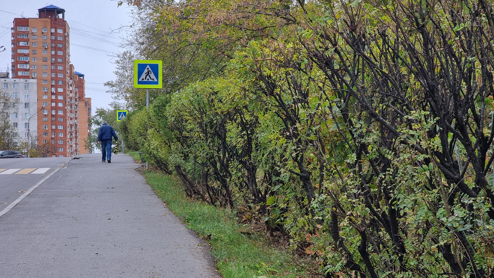 благоустойство, подготовка к зиме, городские цветники