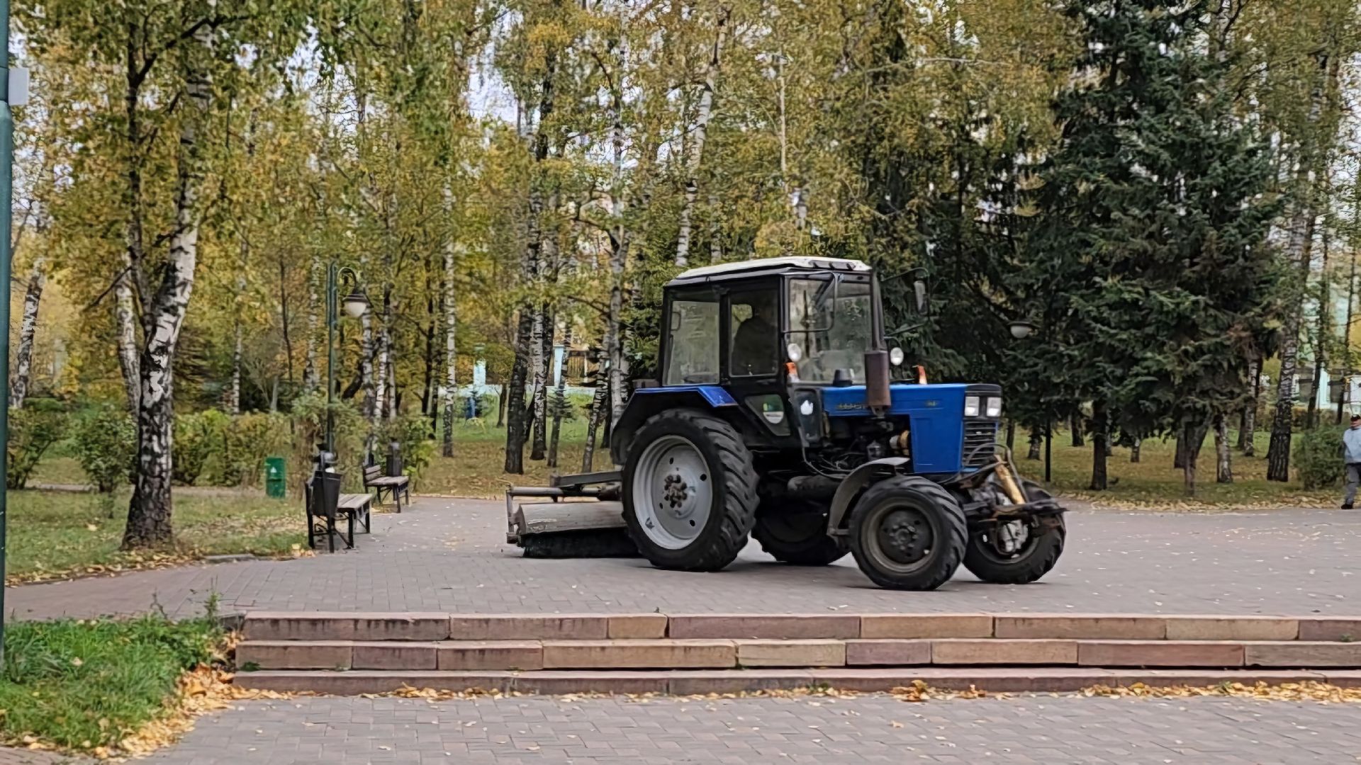 благоустойство, подготовка к зиме, городские цветники
