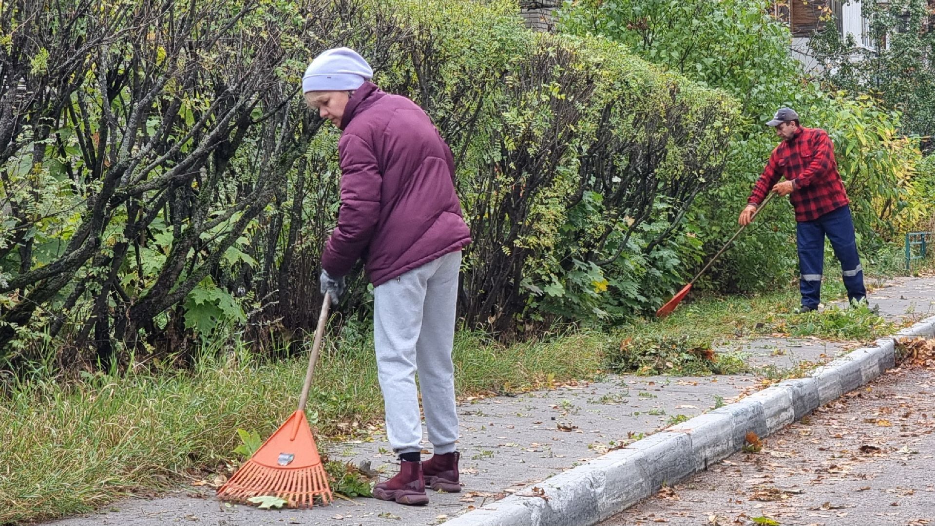 благоустойство, подготовка к зиме, городские цветники
