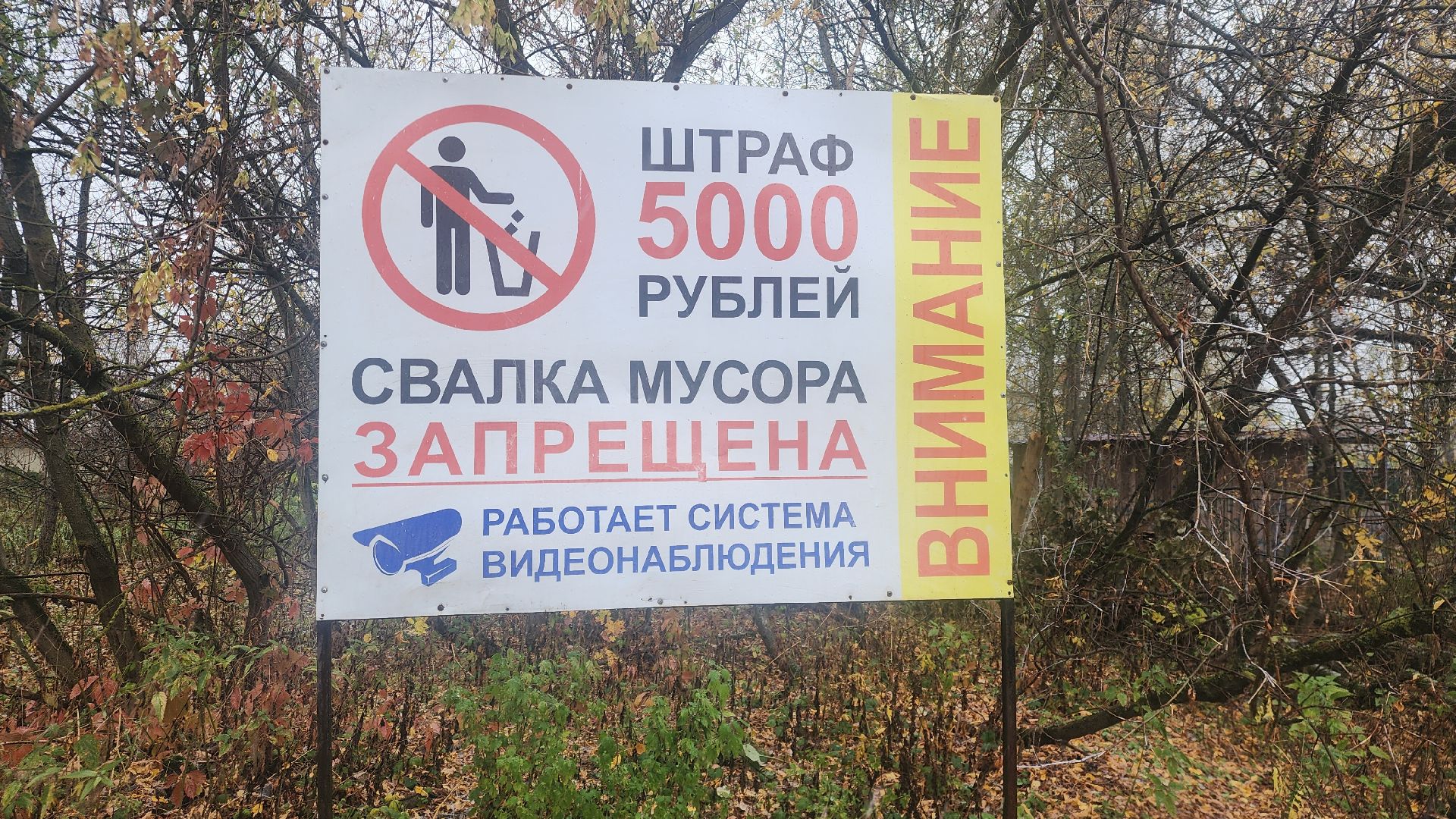 Звенигород, раздельный сбор мусора, акции, благоустровйство,