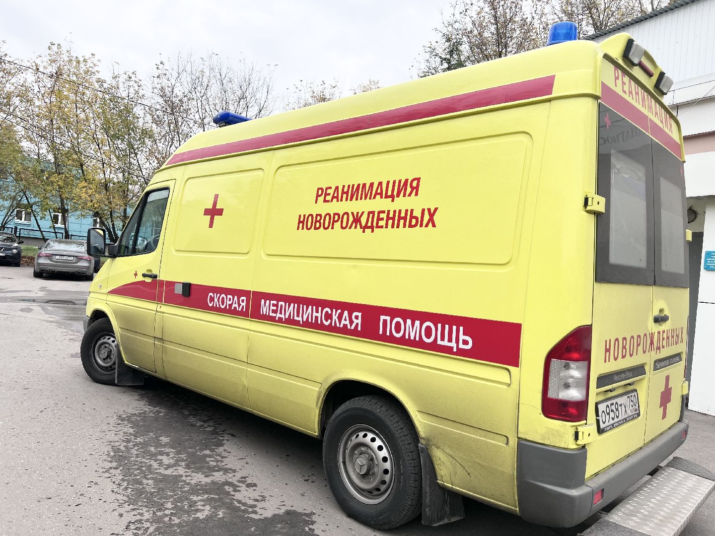 Балашиха, Подмосковье, Медицина, неонатологи подмосковья, недоношенные дети, выставки, Гордость в маленьких победах,