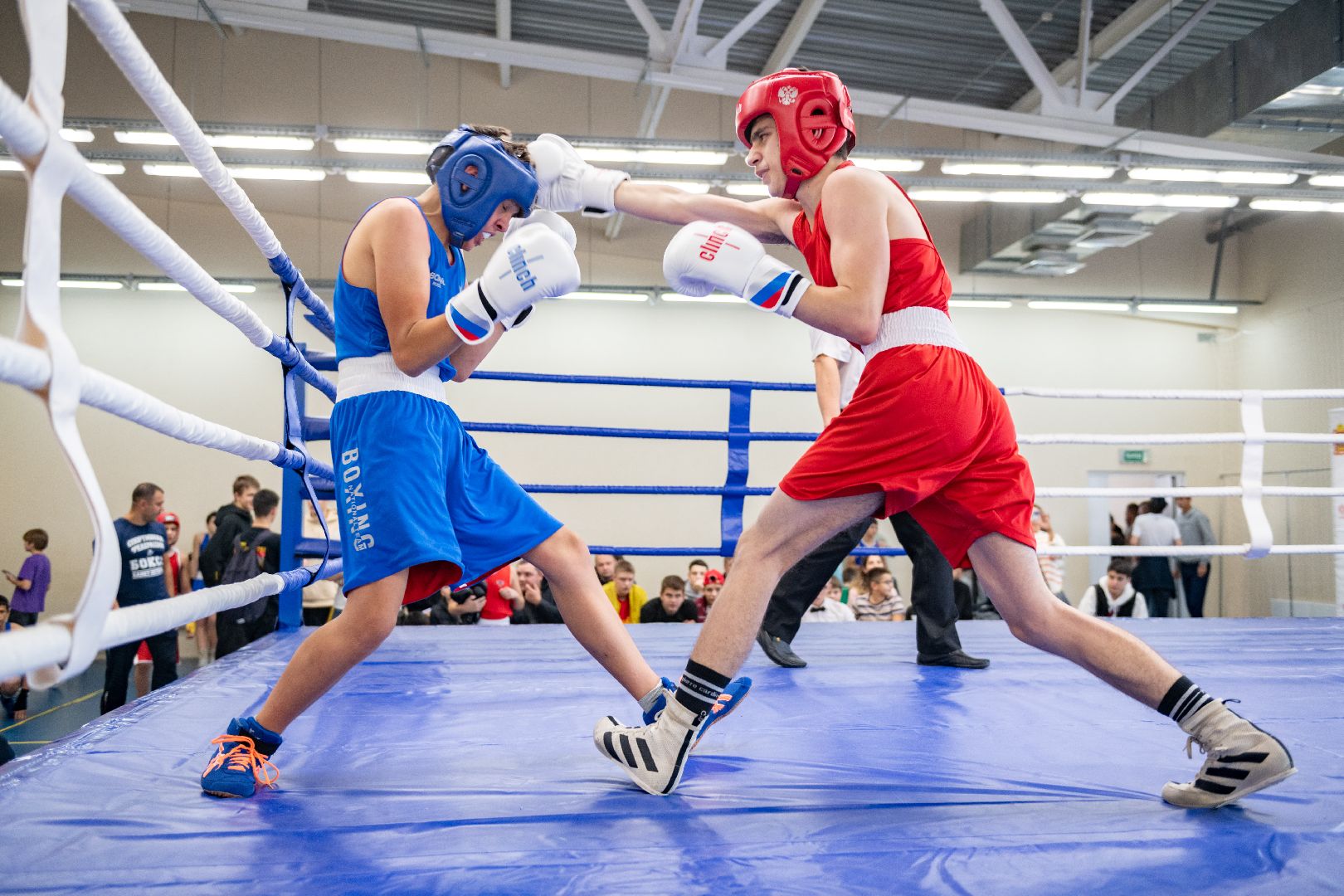 спорт лыткарино, арена лыткарино, первенство по боксу, бокс лыткарино, дворец спорта,