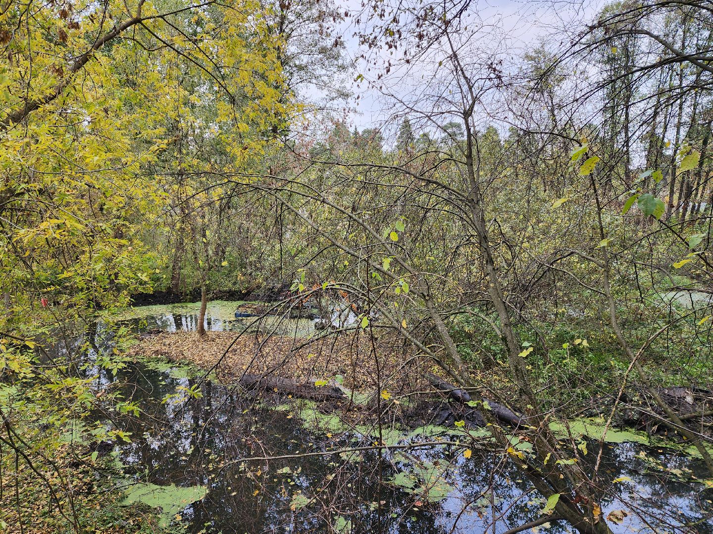 раменское, экология, очистка реки Македонка в Удельной,