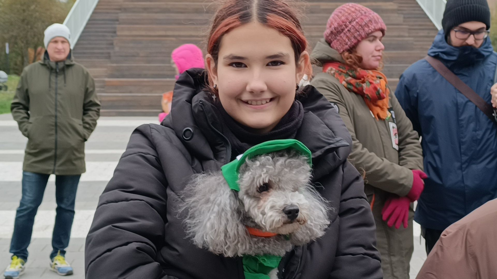 собака, лобня, приют для собак,