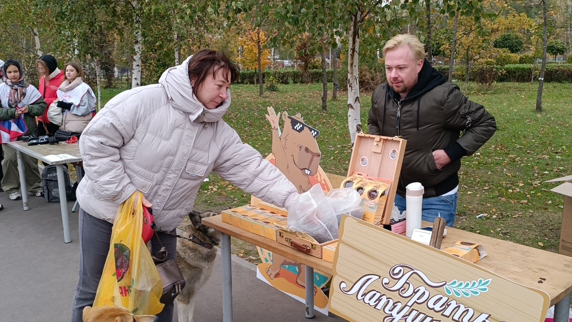 собака, лобня, приют для собак,