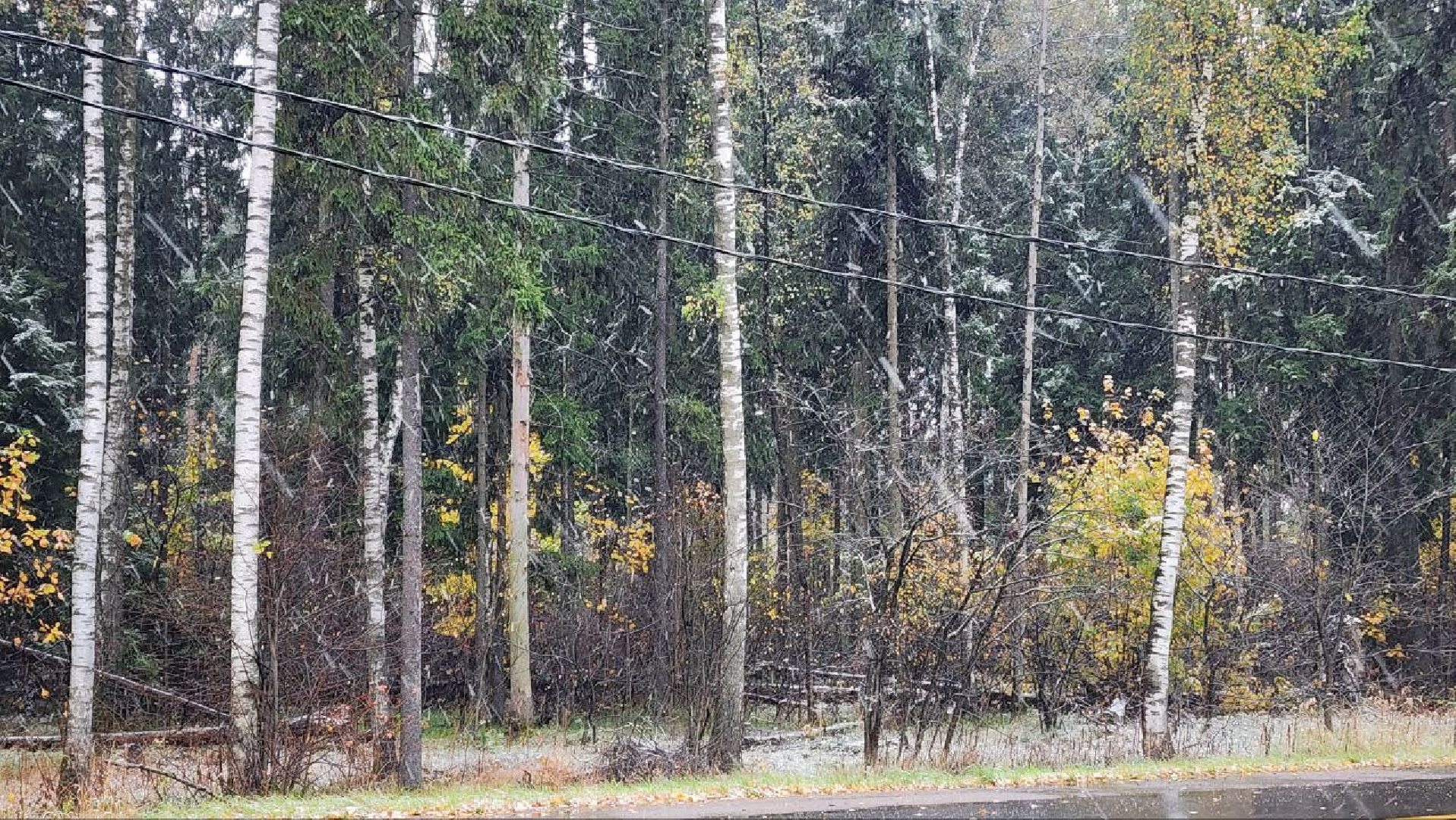 Реутов, Погода, Снегопад, Шиномонтаж,