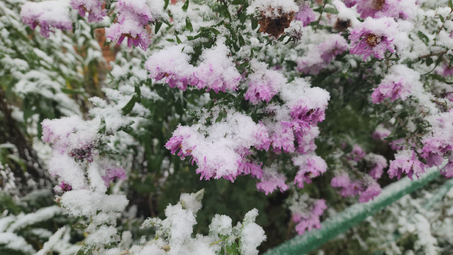 красногорск, нахабино, мой подъезд, ремонт,