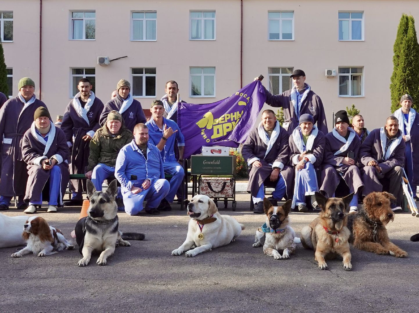 Военный госпиталь, Сергиев Посад, Кинологический центр, Собаки, Медицина, Психология, Сергиево-Посадский городской округ,