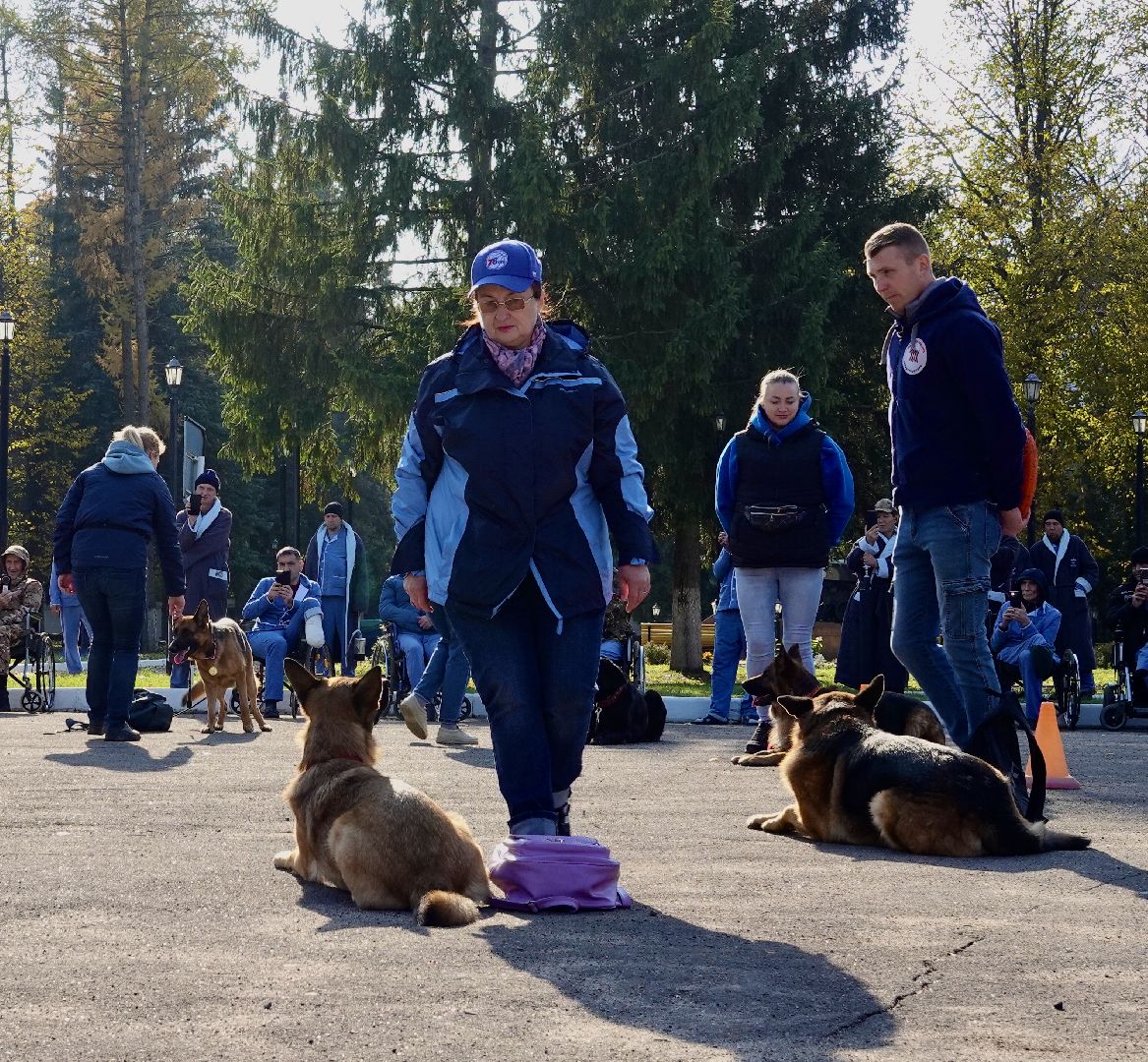Военный госпиталь, Сергиев Посад, Кинологический центр, Собаки, Медицина, Психология, Сергиево-Посадский городской округ,