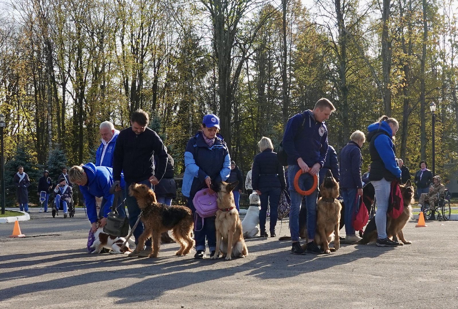 Военный госпиталь, Сергиев Посад, Кинологический центр, Собаки, Медицина, Психология, Сергиево-Посадский городской округ,