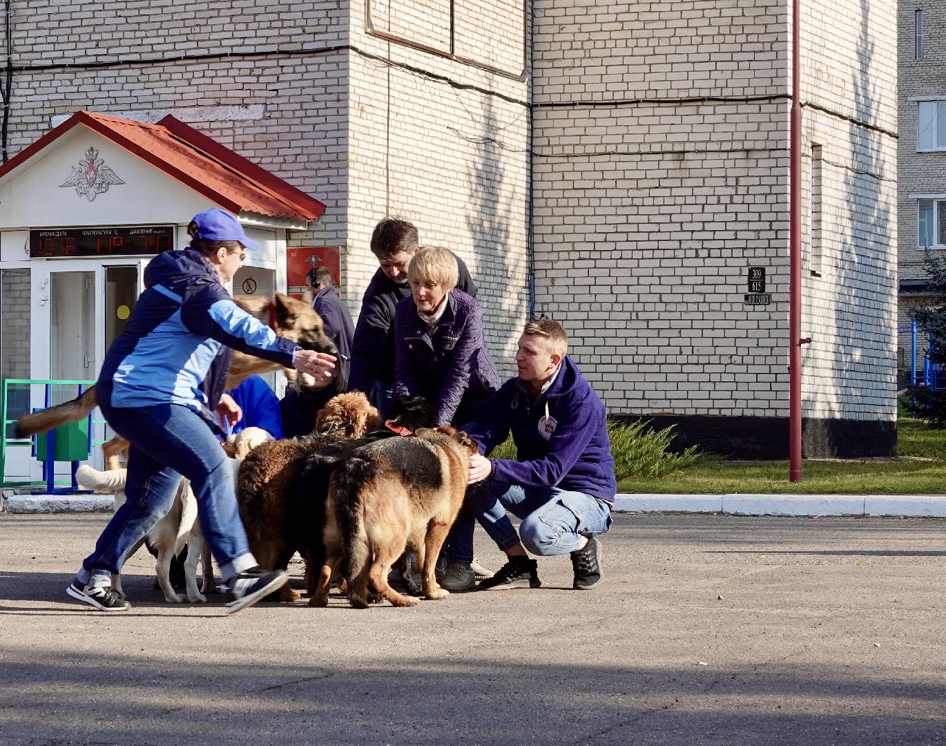 Военный госпиталь, Сергиев Посад, Кинологический центр, Собаки, Медицина, Психология, Сергиево-Посадский городской округ,